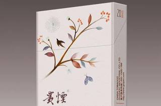 迎春细支爆珠烟代理2025年精选，专业概括迎春细支爆珠精选